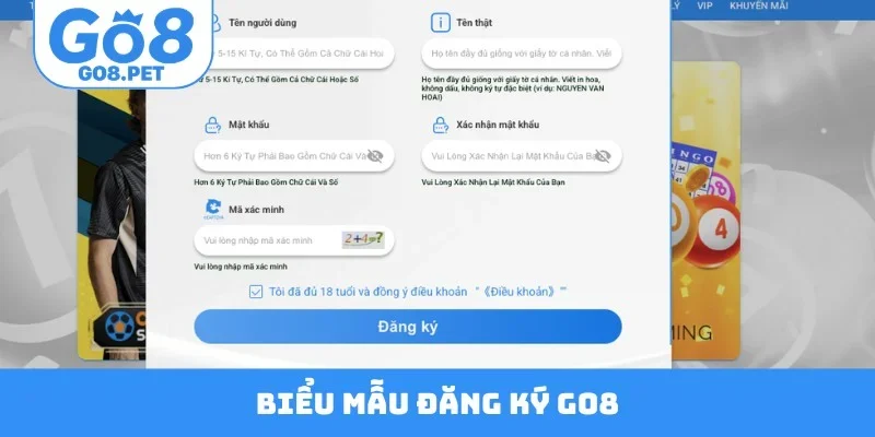 Biểu mẫu đăng ký GO8
